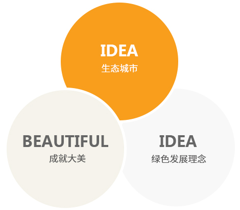 發(fā)展戰(zhàn)略